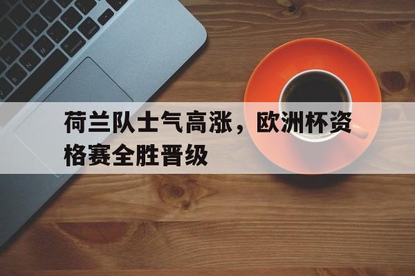 荷兰队士气高涨，欧洲杯资格赛全胜晋级